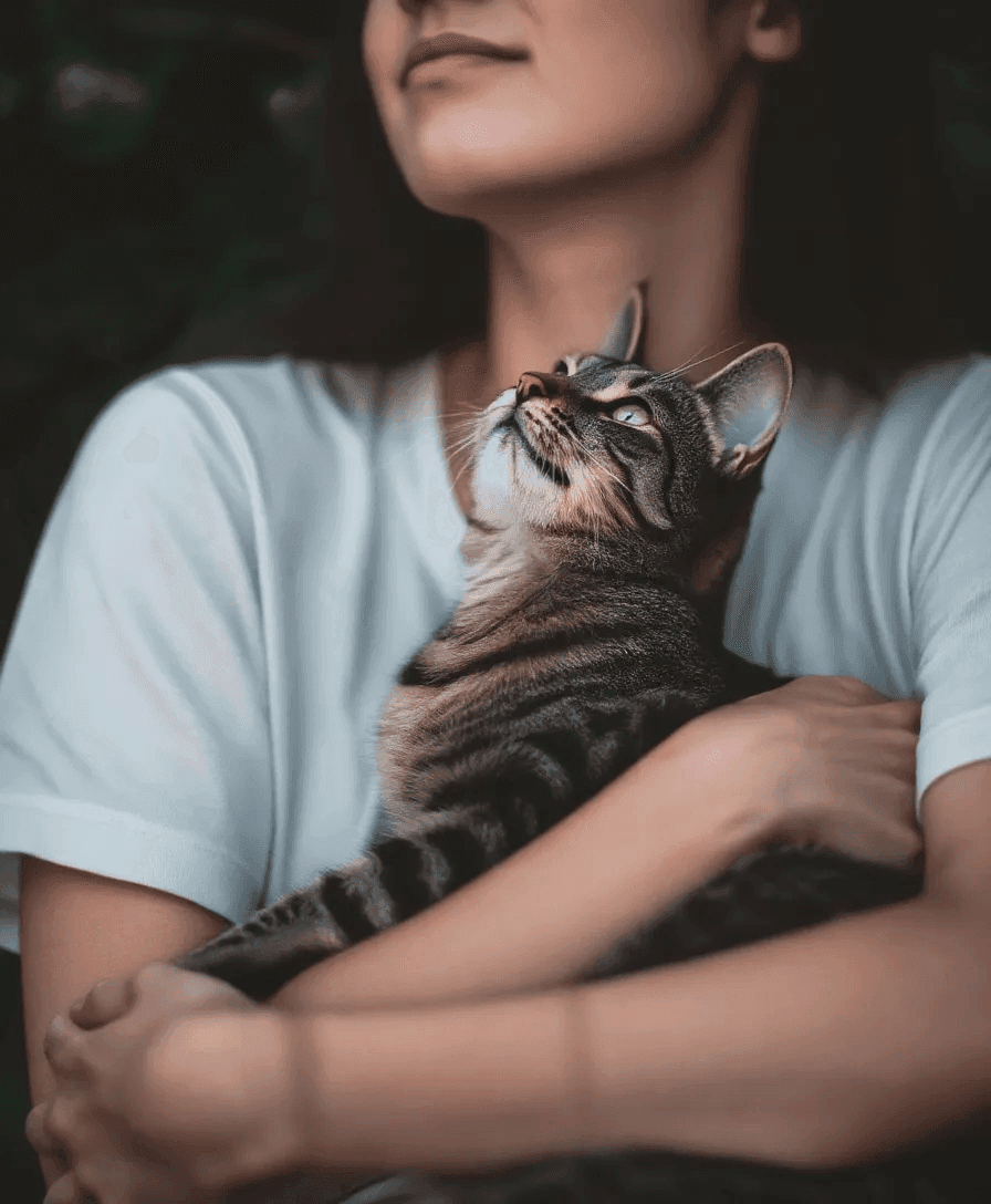 編集後 - 猫は飼い主の腕に抱かれています
